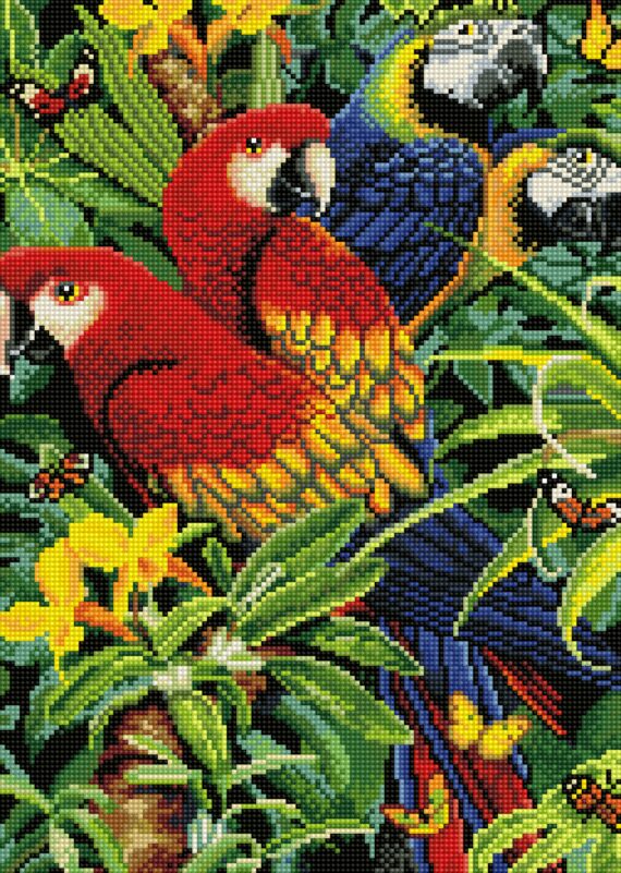 Haft diamentowy – Papugi