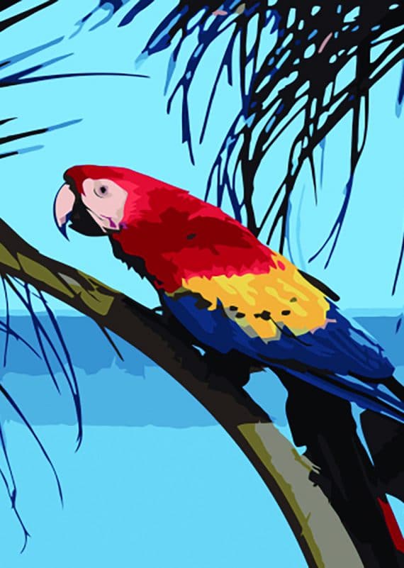 Malowanie po numerach – Papuga